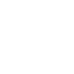 instagram icone